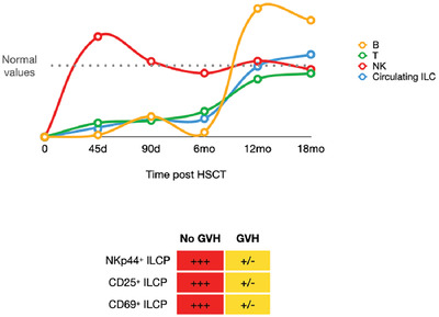 Innate lymphoid cell recovery and occurrence of GvHD after hematopoietic stem cell transplantation