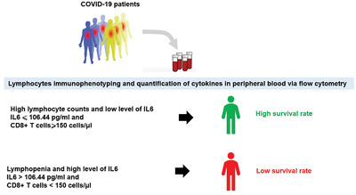 T cell counts and IL‐6 concentration in blood of North African COVID‐19 patients are two independent prognostic factors for severe disease and death