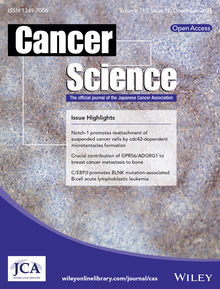 Nanomedicine Targets Iron Metabolism for Cancer Therapy