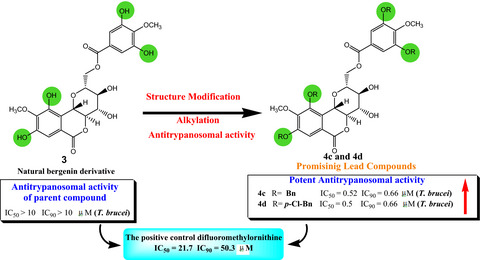 Antitrypanosomal activity of new semi‐synthetic bergenin derivatives