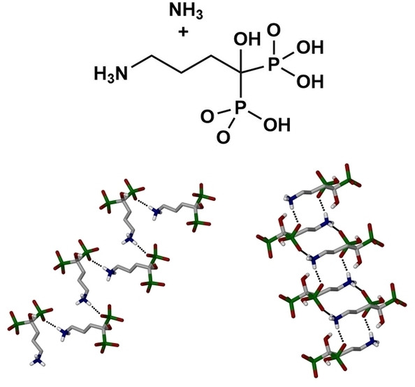 Elucidating structural patterns in hydrogen bond dense materials: a study of ammonium salts of (4‐aminium‐1‐hydroxybutylidine)‐1,1‐bisphosphonic acid.