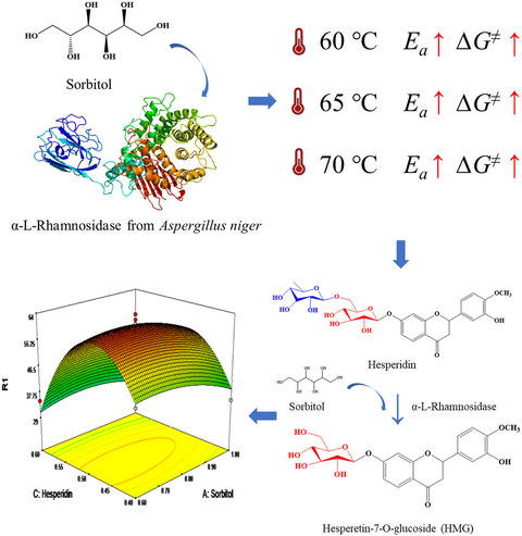 Adding sorbitol improves the thermostability of α‐l‐rhamnosidase from Aspergillus niger and increases the conversion of hesperidin