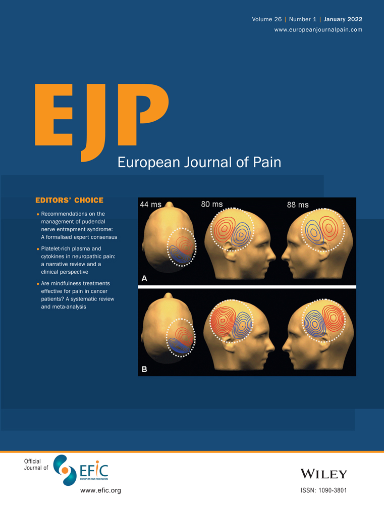 The subsequent interruptive effects of pain on attention