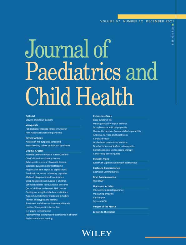 Home–hospital care for children with acute illnesses: A 2‐year follow‐up study