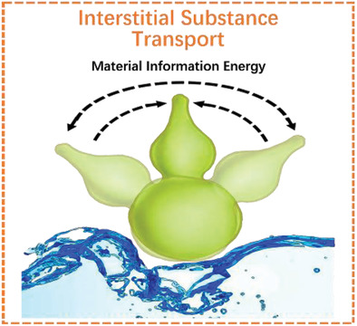 Interstitial Fluid Behavior and Diseases