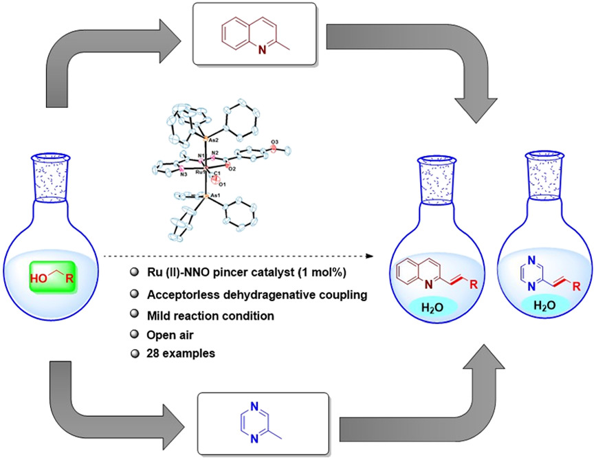 Ru(II)–NNO pincer‐type complexes catalysed E‐olefination of alkyl‐substituted quinolines/pyrazines utilizing primary alcohols