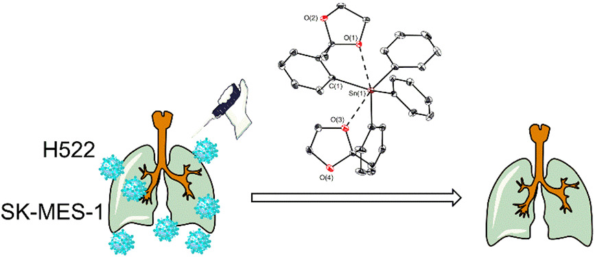 C,O‐Chelated organotin(IV) derivatives as potential anticancer agents: Synthesis, characterization, and cytotoxic activity