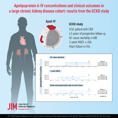 Apolipoprotein A‐IV concentrations and clinical outcomes in a large chronic kidney disease cohort: Results from the GCKD study