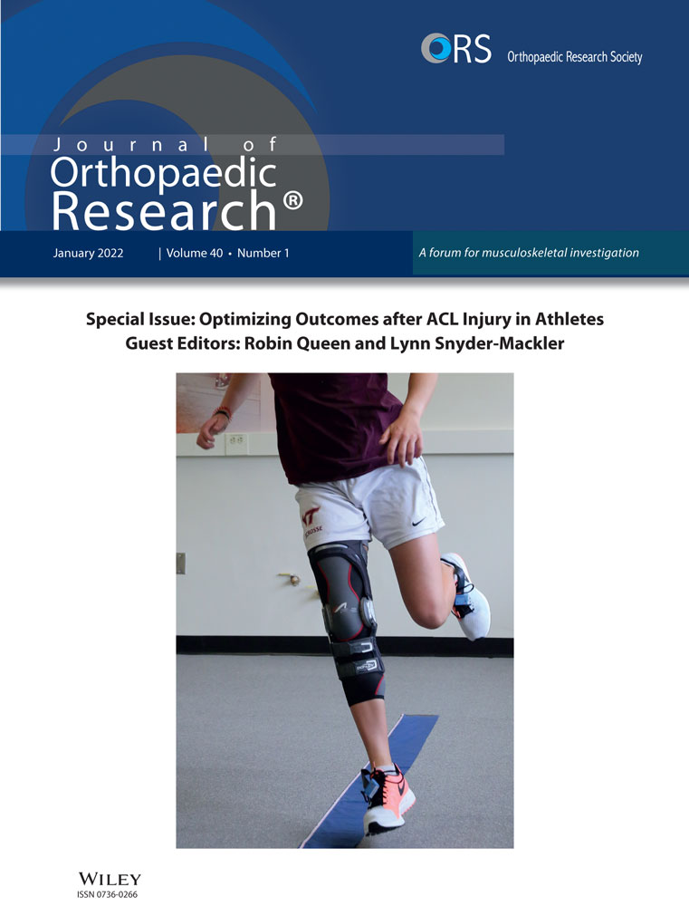 Patellofemoral and tibiofemoral joint loading during a single‐leg forward hop following ACL reconstruction
