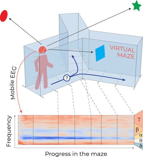 Mobile brain/body imaging of landmark‐based navigation with high‐density EEG