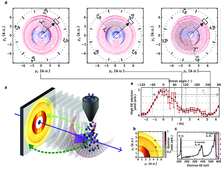 Attosecond coherent electron motion in Auger-Meitner decay