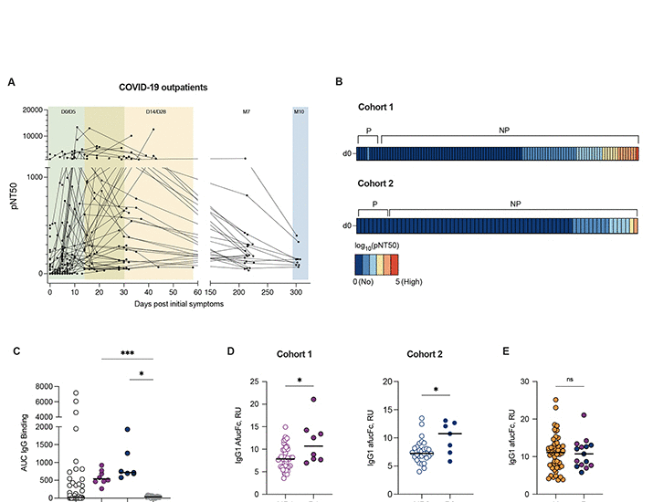Early non-neutralizing, afucosylated antibody responses are associated with COVID-19 severity