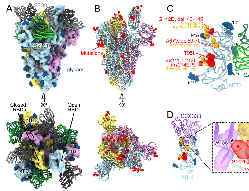 Structural basis of SARS-CoV-2 Omicron immune evasion and receptor engagement