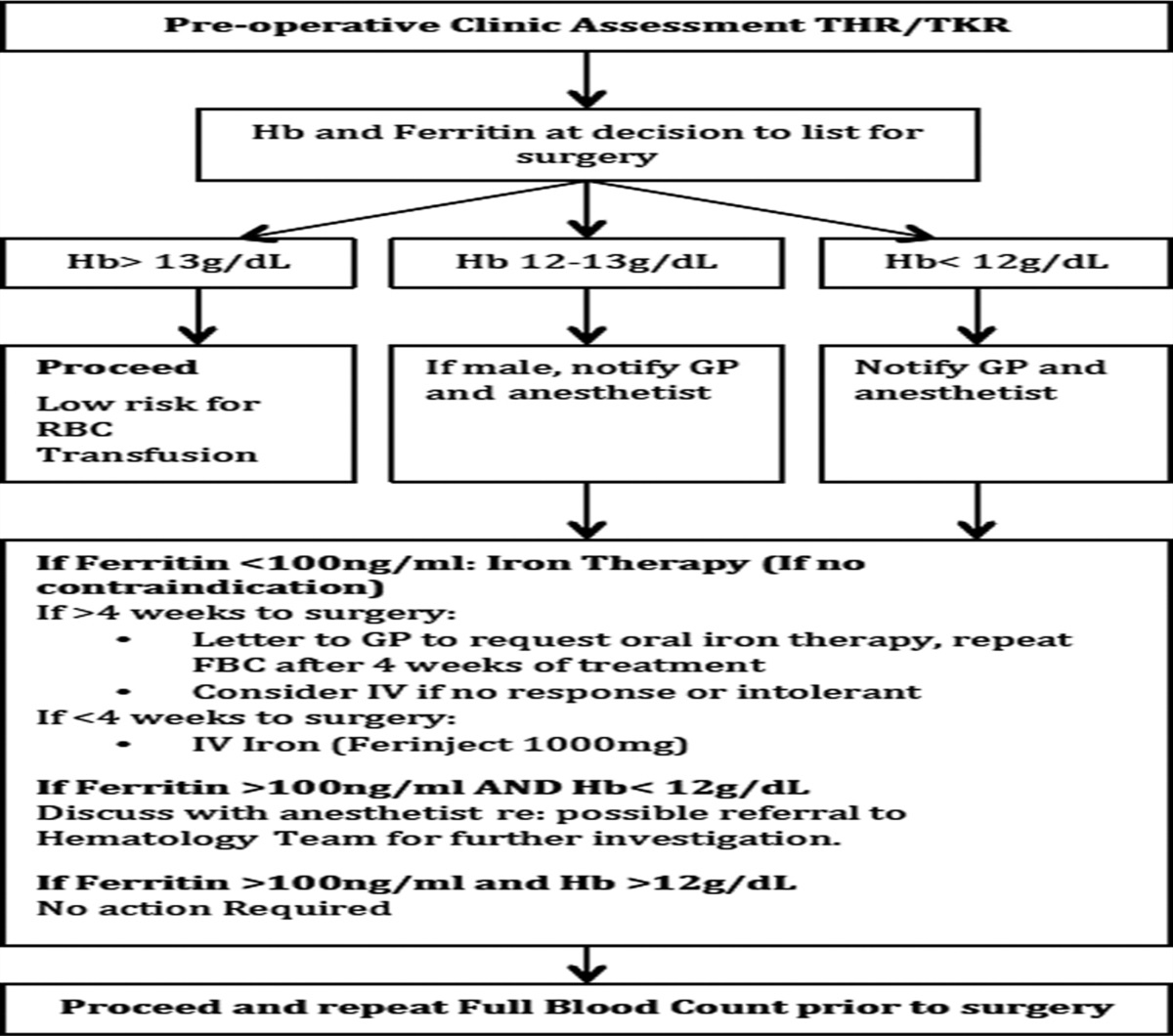Optimization of Preoperative Anemia in Lower Limb Joint Replacement Surgery: Assessing the Rates of Allogenic Blood Transfusion and Duration of Hospital Stay
