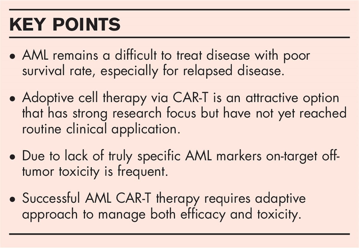 Chimeric antigen receptor T-cell therapy in acute myeloid leukemia