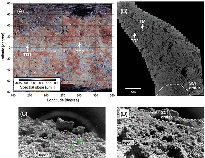 Pebbles and sand on asteroid (162173) Ryugu: In situ observation and particles returned to Earth