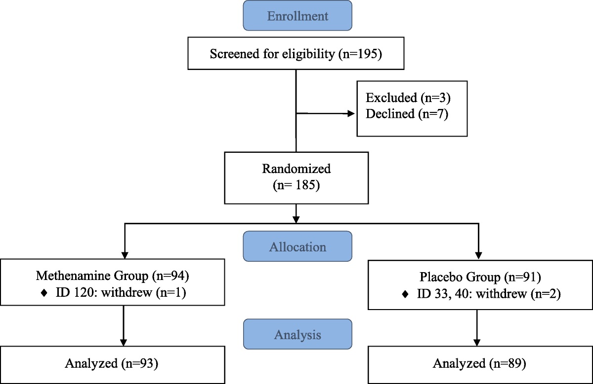 Methenamine Hippurate With Cranberry Capsules Versus Cranberry Alone for Urinary Tract Infection Prevention in a Short-Term Indwelling Foley Catheter Population After Urogynecologic Surgery: A Double-Blinded Randomized Controlled Trial