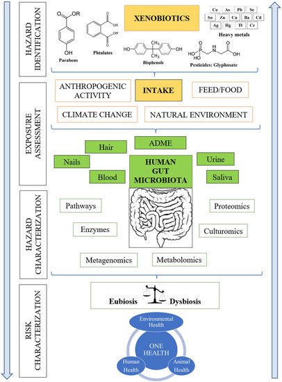 JoX, Vol. 12, Pages 56-63: Impact of Cumulative Environmental and Dietary Xenobiotics on Human Microbiota: Risk Assessment for One Health