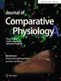 8-OH-DPAT enhances dopamine D2-induced maternal disruption in rats