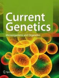 Genomic insights into the diversity of non-coding RNAs in Bacillus cereus sensu lato