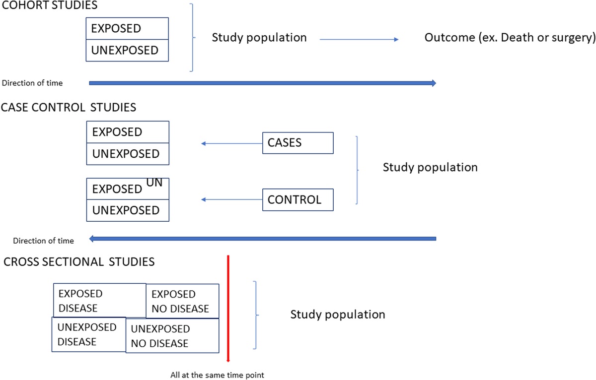 Observational Studies: Specific Considerations for the Physical and Rehabilitation Medicine Physician