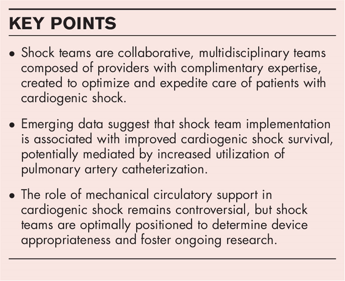 The shock team: a multidisciplinary approach to early patient phenotyping and appropriate care escalation in cardiogenic shock
