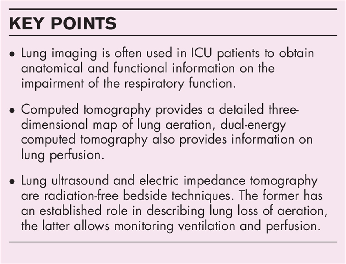 Lung aeration, ventilation, and perfusion imaging