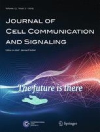 The role of CCNs in controlling cellular communication in the tumor microenvironment