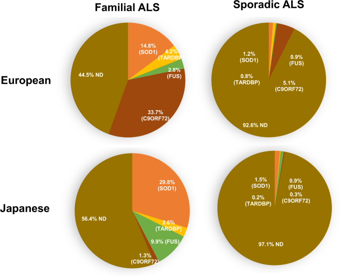 Genetics of amyotrophic lateral sclerosis: seeking therapeutic targets in the era of gene therapy