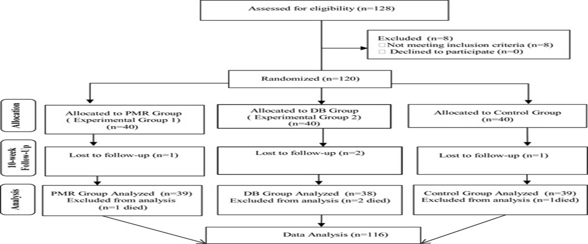 The Effect of Progressive Muscle Relaxation and Deep Breathing Exercises on Dyspnea and Fatigue Symptoms of COPD Patients: A Randomized Controlled Study