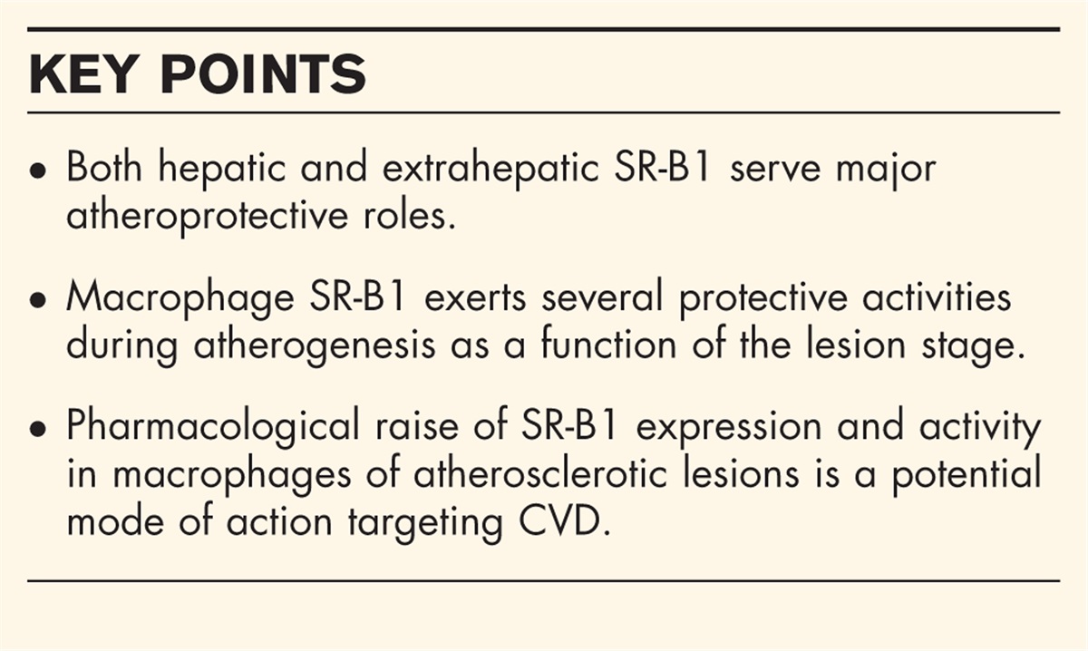 Macrophage SR-B1 in atherosclerotic cardiovascular disease