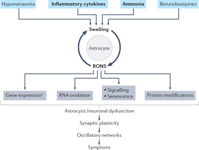Hepatic encephalopathy