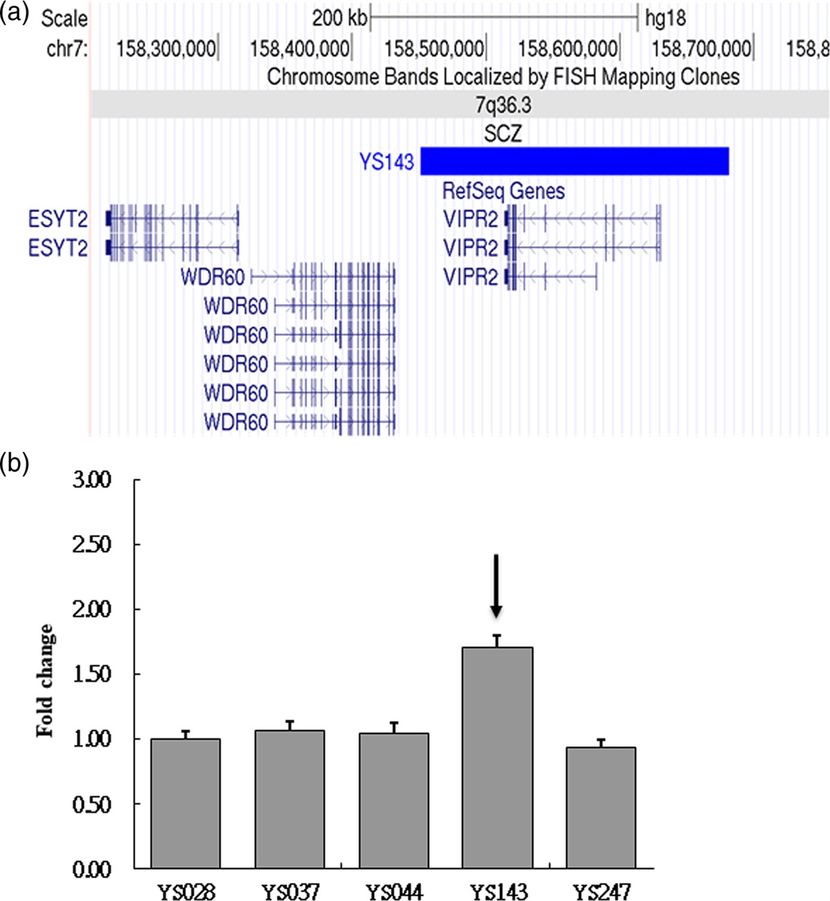 Identification of rare mutations of the vasoactive intestinal peptide receptor 2 gene in schizophrenia