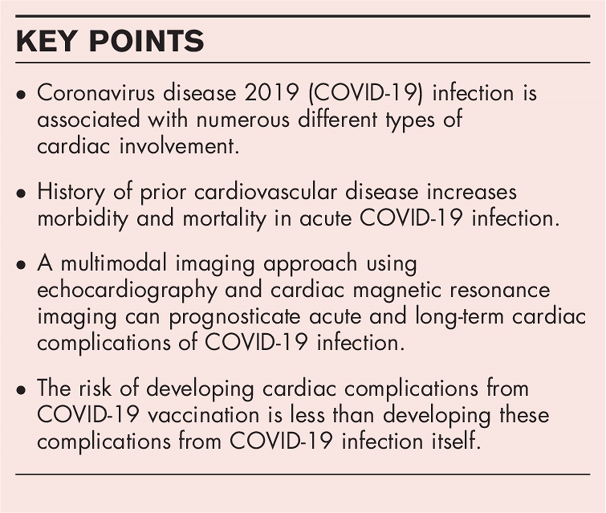 Coronavirus disease 2019 and the cardiologist