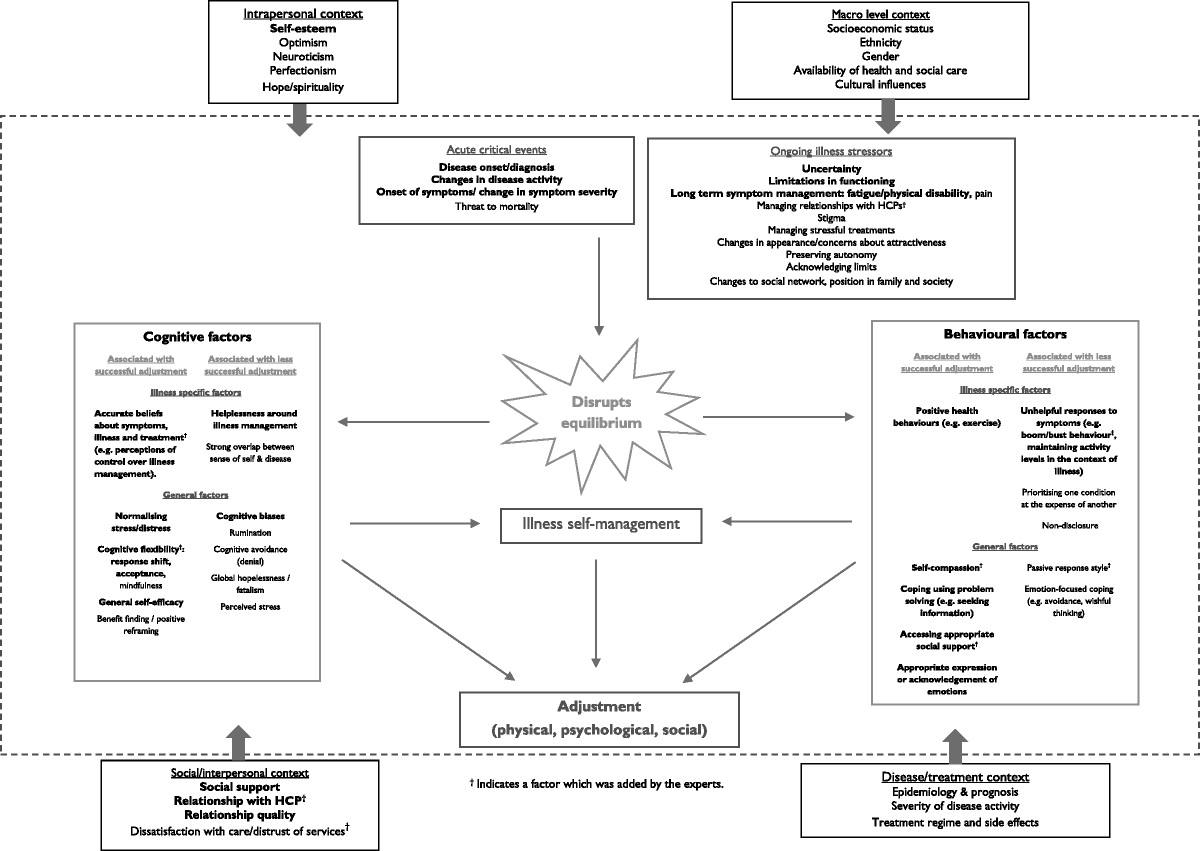 An Evidence-Based Theory of Psychological Adjustment to Long-Term Physical Health Conditions: Applications in Clinical Practice
