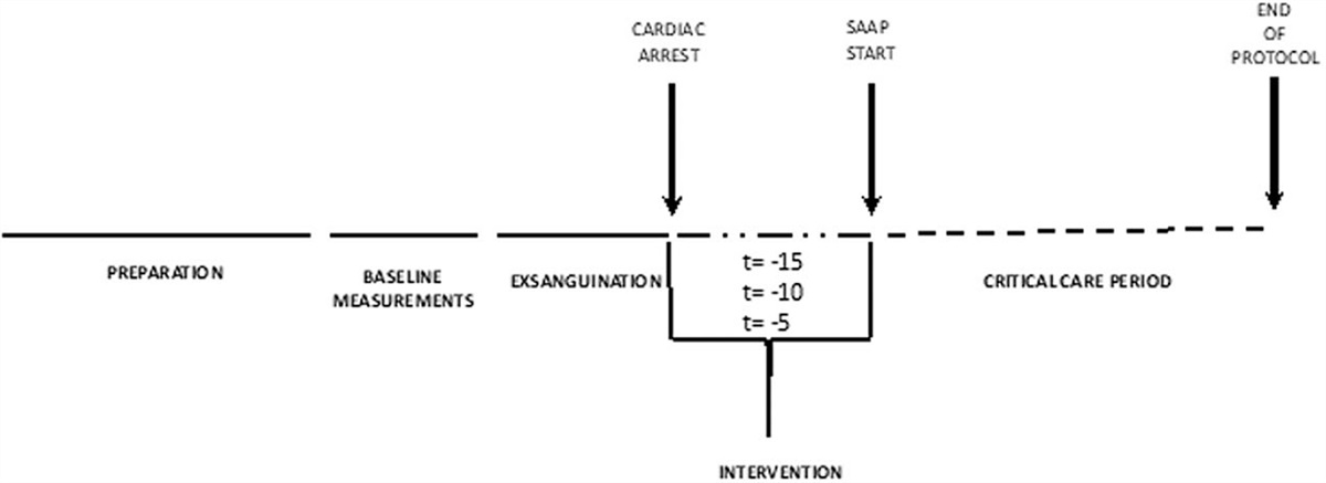 Whole Blood Selective Aortic Arch Perfusion for Exsanguination Cardiac Arrest: Assessing Myocardial Tolerance to the Duration of Cardiac Arrest