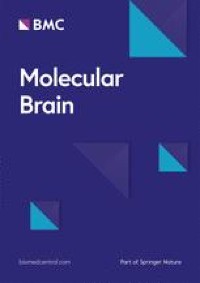 Distribution of five clinically important neuroglial proteins in the human brain