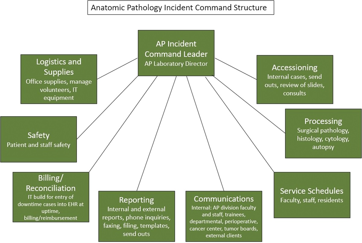 Surviving a Cyberattack in Anatomic Pathology: Disaster Response and Creation of an Incident Command System