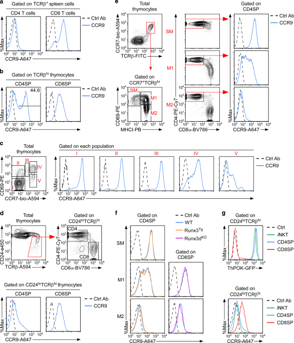 Chemokine receptor CCR9 suppresses the differentiation of CD4+CD8αα+ intraepithelial T cells in the gut