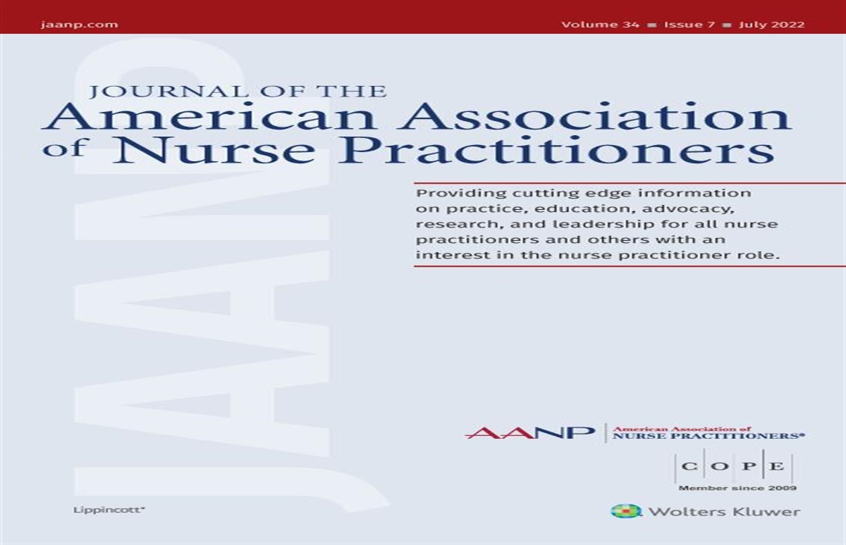 Faculty perspectives on doctor of nursing practice science: Part 2