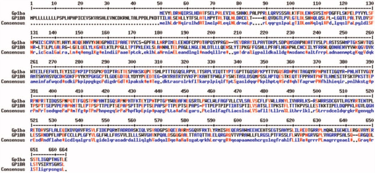 Characterization of zebrafish gp1ba mutant and modelling Bernard Soulier syndrome