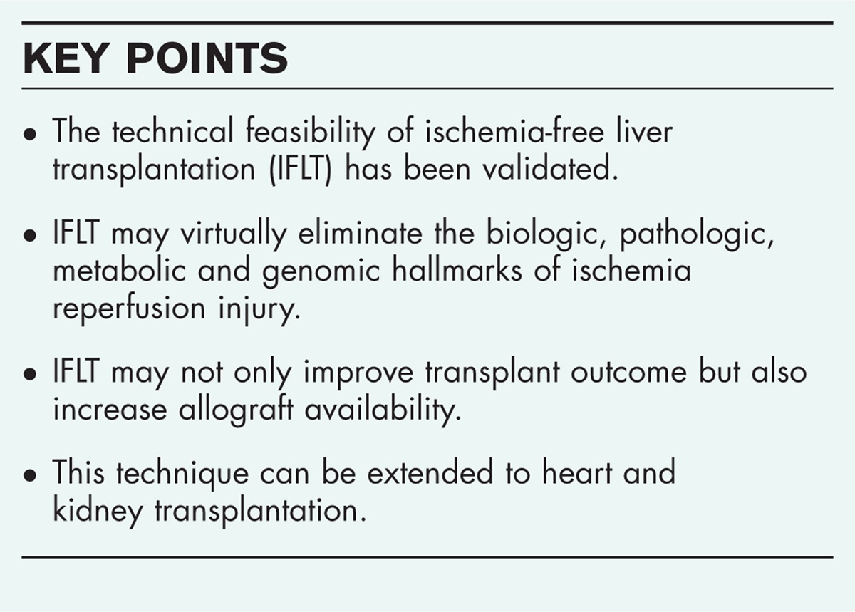 Ischemia-free organ transplantation − a review