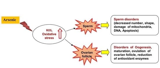 JoX, Vol. 12, Pages 214-222: Arsenic, Oxidative Stress and Reproductive System
