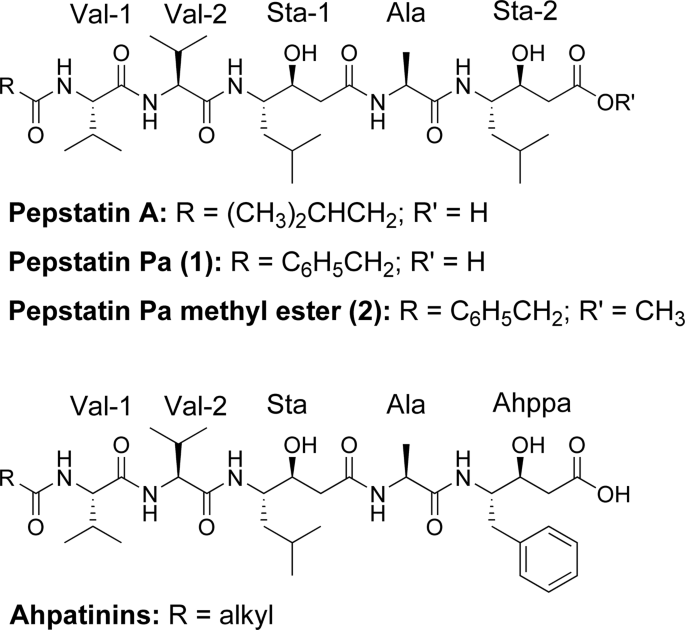 Phenylacetyl pepstatin inhibitors of aspartyl proteases from Streptomyces varsoviensis