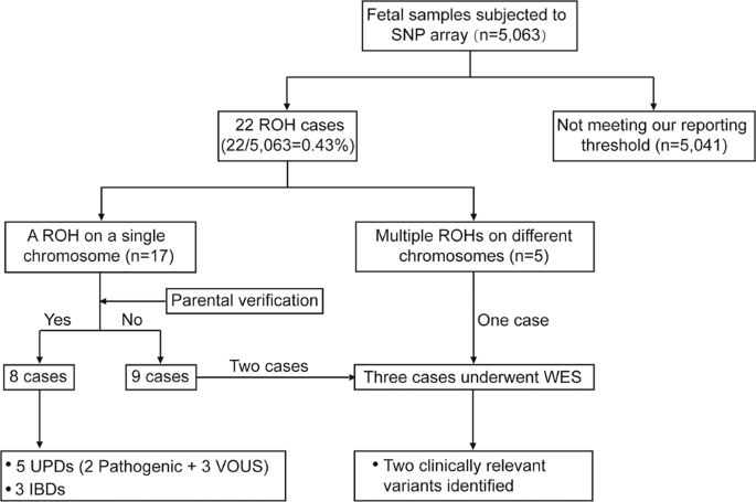 Prenatal diagnosis of fetuses with region of homozygosity detected by single nucleotide polymorphism array: a retrospective cohort study