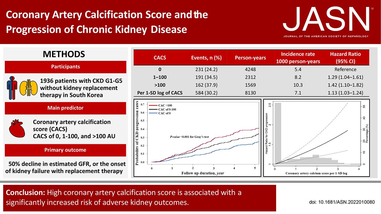 Coronary Artery Calcification Score and the Progression of Chronic Kidney Disease