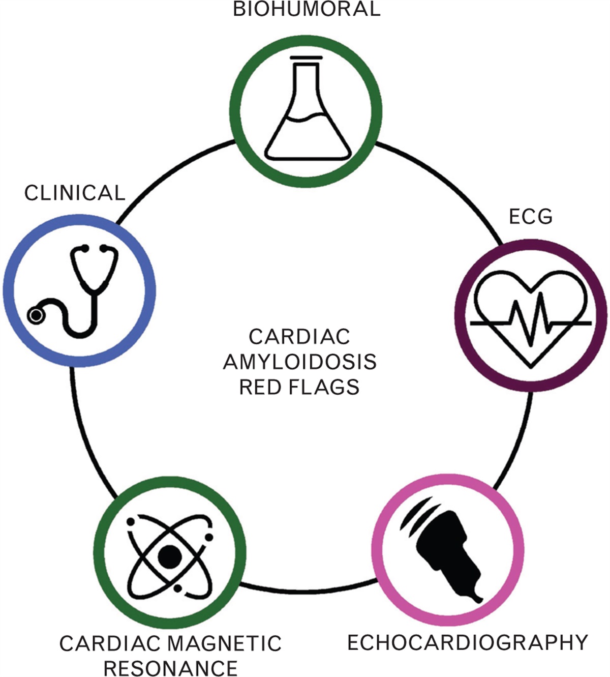 Red flags for the diagnosis of cardiac amyloidosis: simple suggestions to raise suspicion and achieve earlier diagnosis