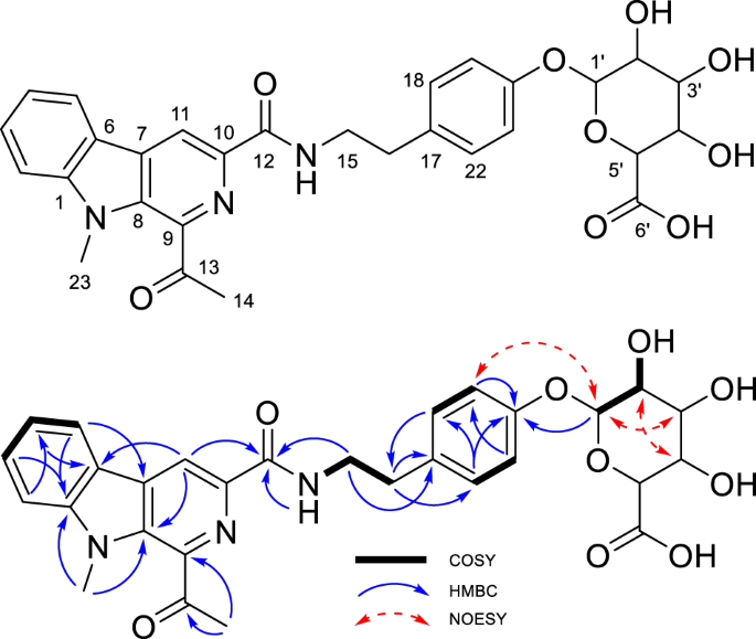Marinacarboline glucuronide, a new member of β-carboline alkaloids from sponge-derived actinomycete Actinoalloteichus cyanogriseus LHW52806