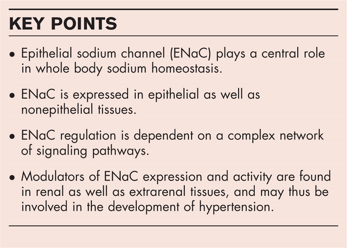 Lessons learned about epithelial sodium channels from transgenic mouse models