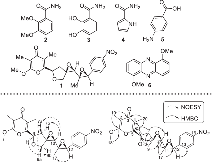 A novel aureothin diepoxide derivative from Streptomyces sp. NIIST-D31 strain